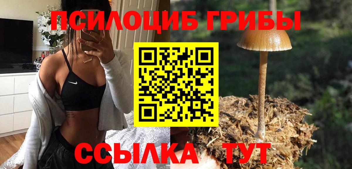 Галлюциногенные грибы мухоморы Нижневартовск